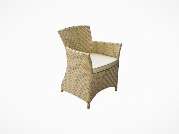 Poltrona &Aacute;sia (1)